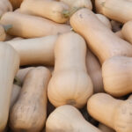 photo de courge butternut en palox bois