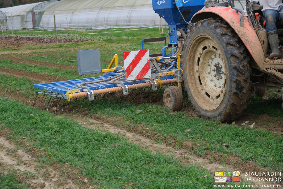 photo proche des dents souples de herse étrille au travail