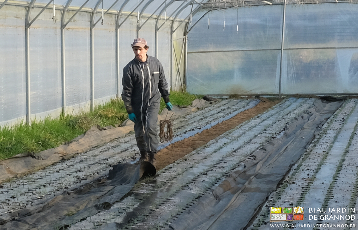 photo de Vivien sous tunnel transportant les agrafes de fixation