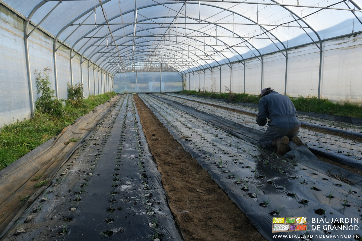 photo de Vivien accroupi fixant les toiles d'allées