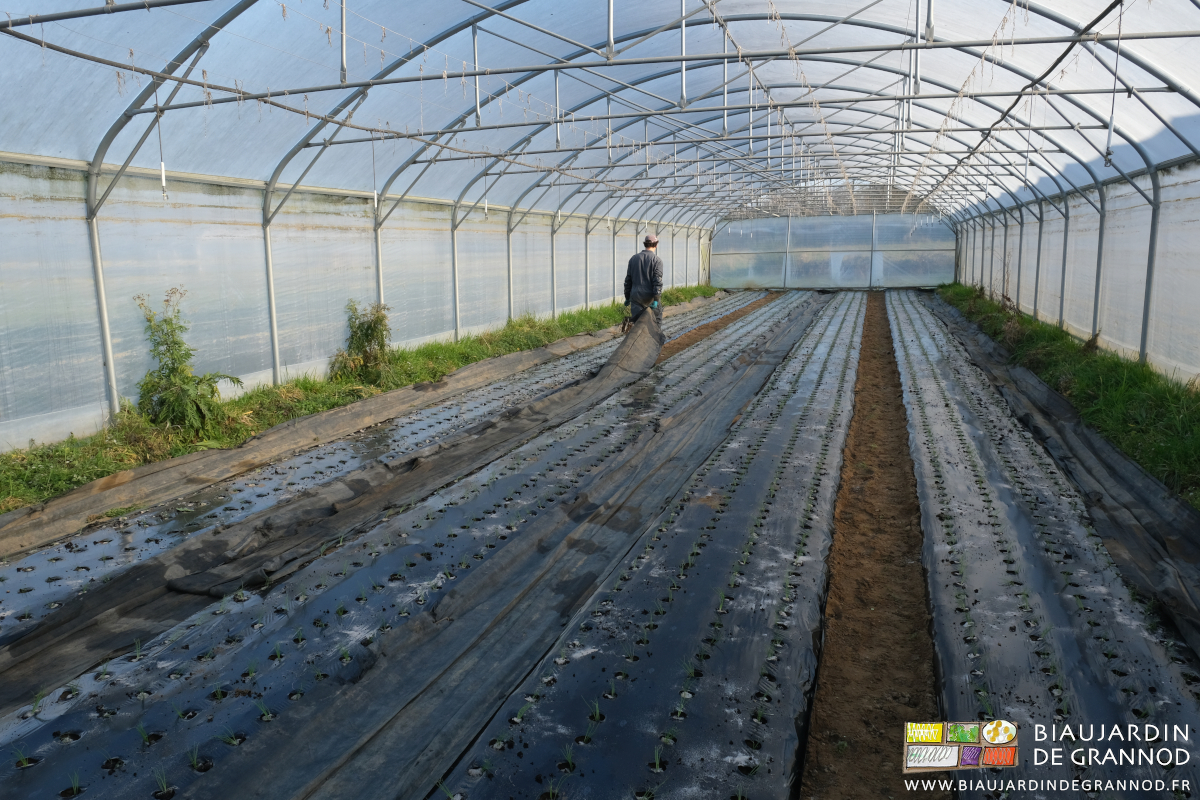 photo de Vivien déroulant les toiles tissées dans les allées