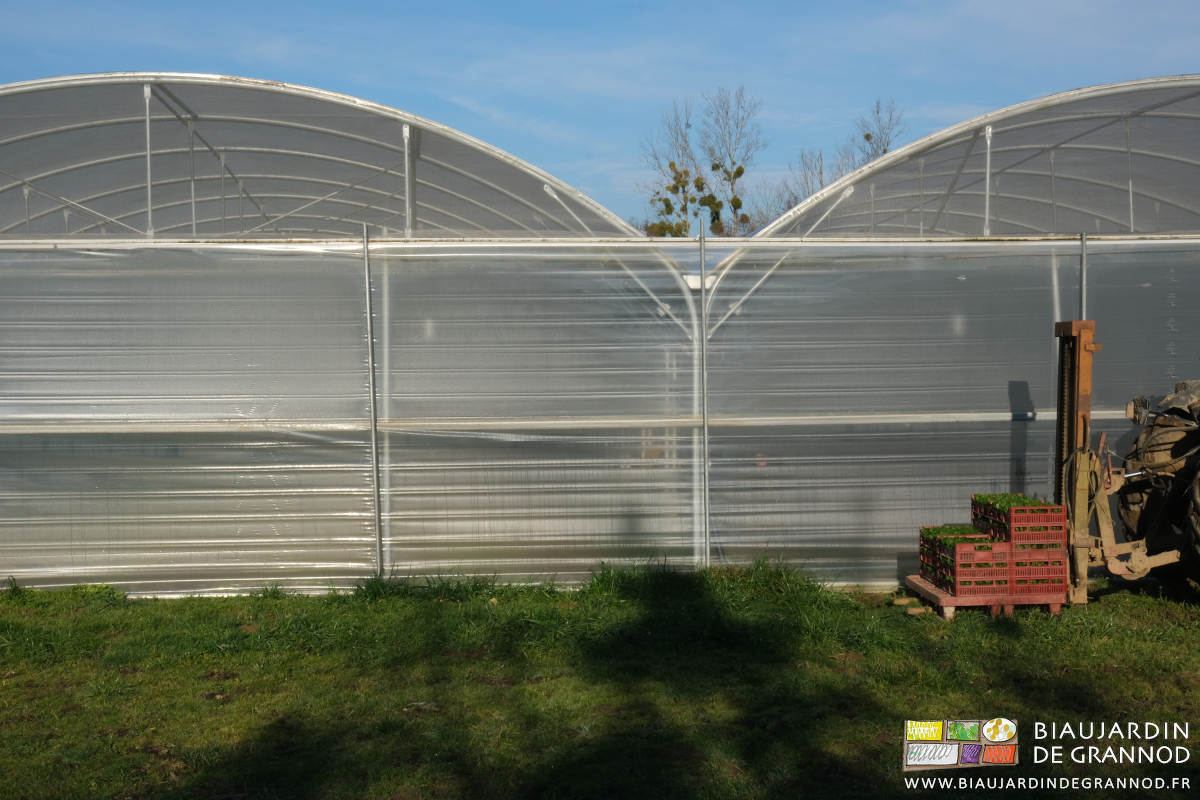 photo de la palette de caisse de mottes portée par le mât lève-palette