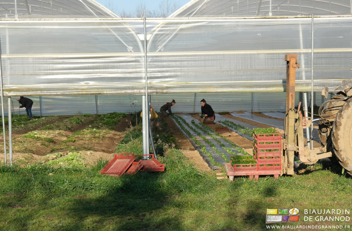 photo du travail sous le quaddri-tunnel