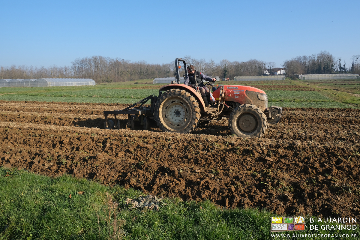 photo au soleil de Matthieu en torsion sur le tracteur pour incorporer des engrais verts par buttage
