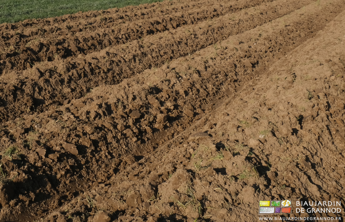 vue de près de nos buttes permanentes