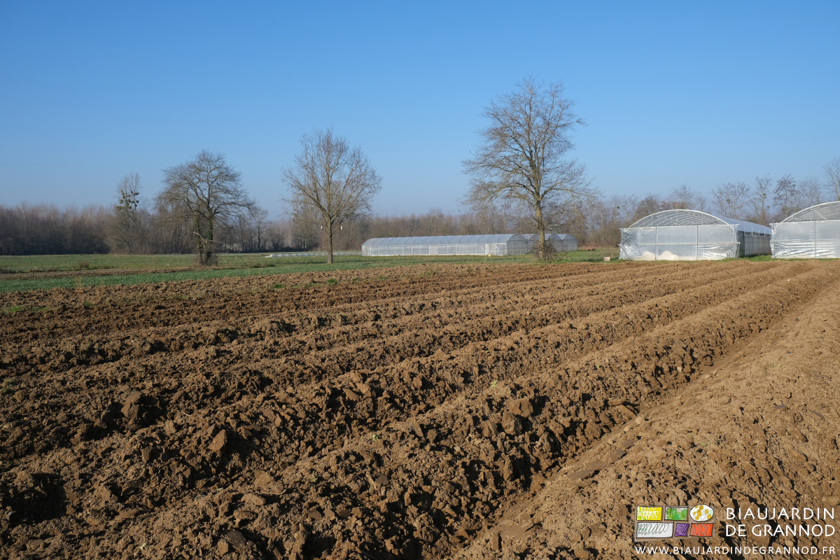 photo d'un carré aux planches buttées