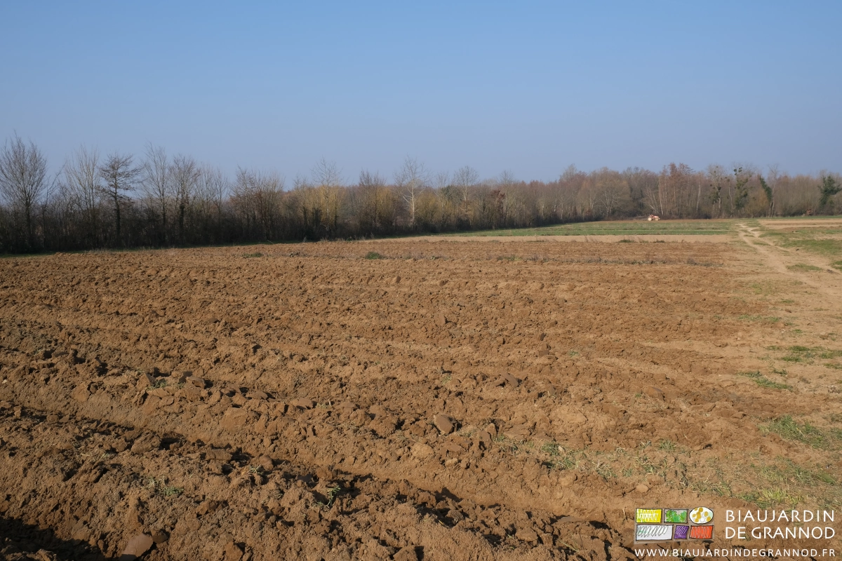 vue d'ensemble du jardin "historique", Matthieu travaillant devant les haies bocagères du fond