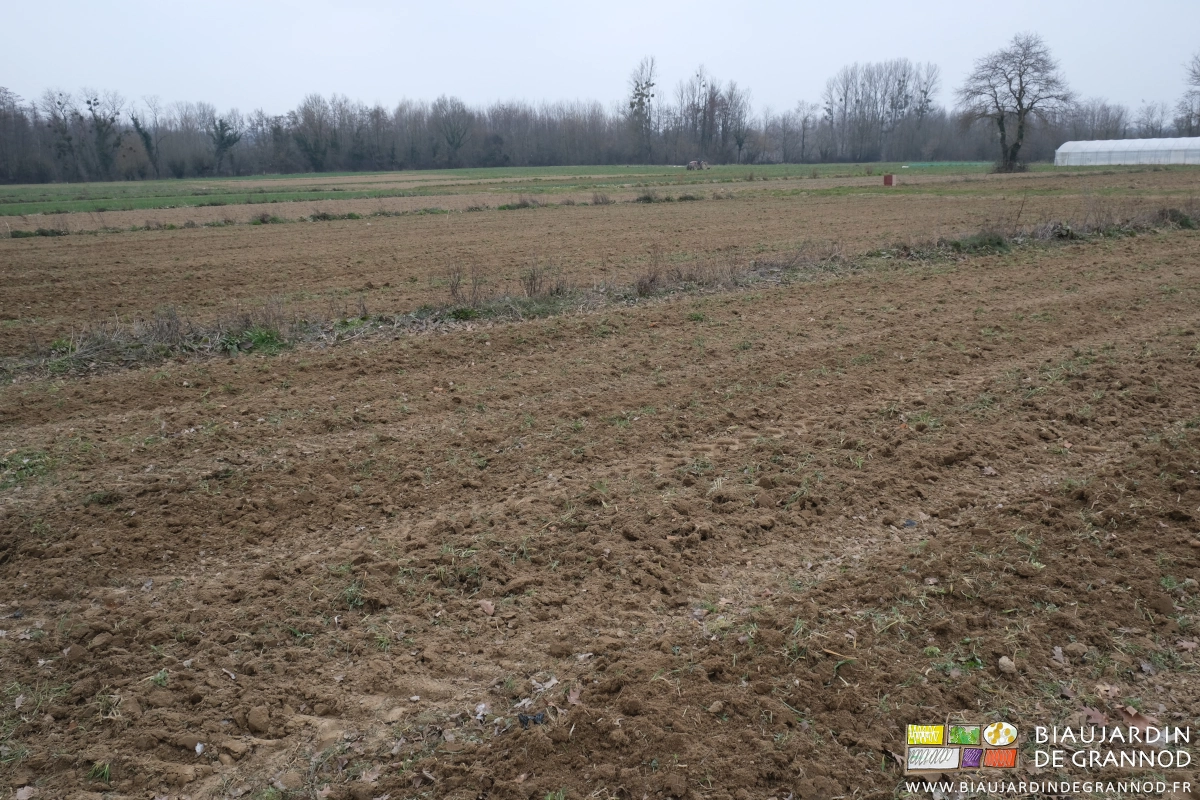 photo d’ensemble du jardin dont plusieurs carrés sont déchaumés et les bandes fleuries intactes