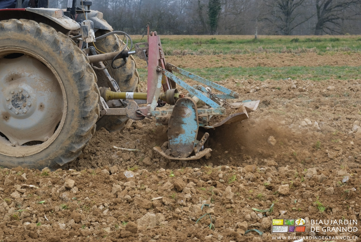 photo du rotovator au travail sur le dessus de la butte planche permanente