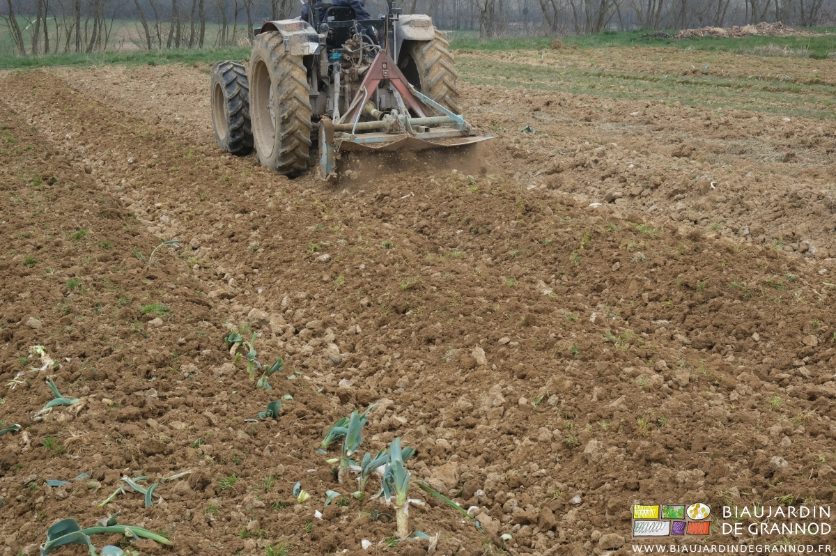 photo de reprise au rotovator sur une planche de poireau juste récoltée