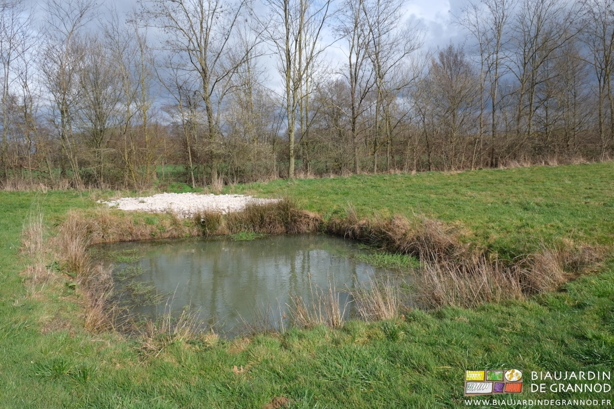 photo du bassin en partie rempli mais le tuyau du trop plein est encore au sec