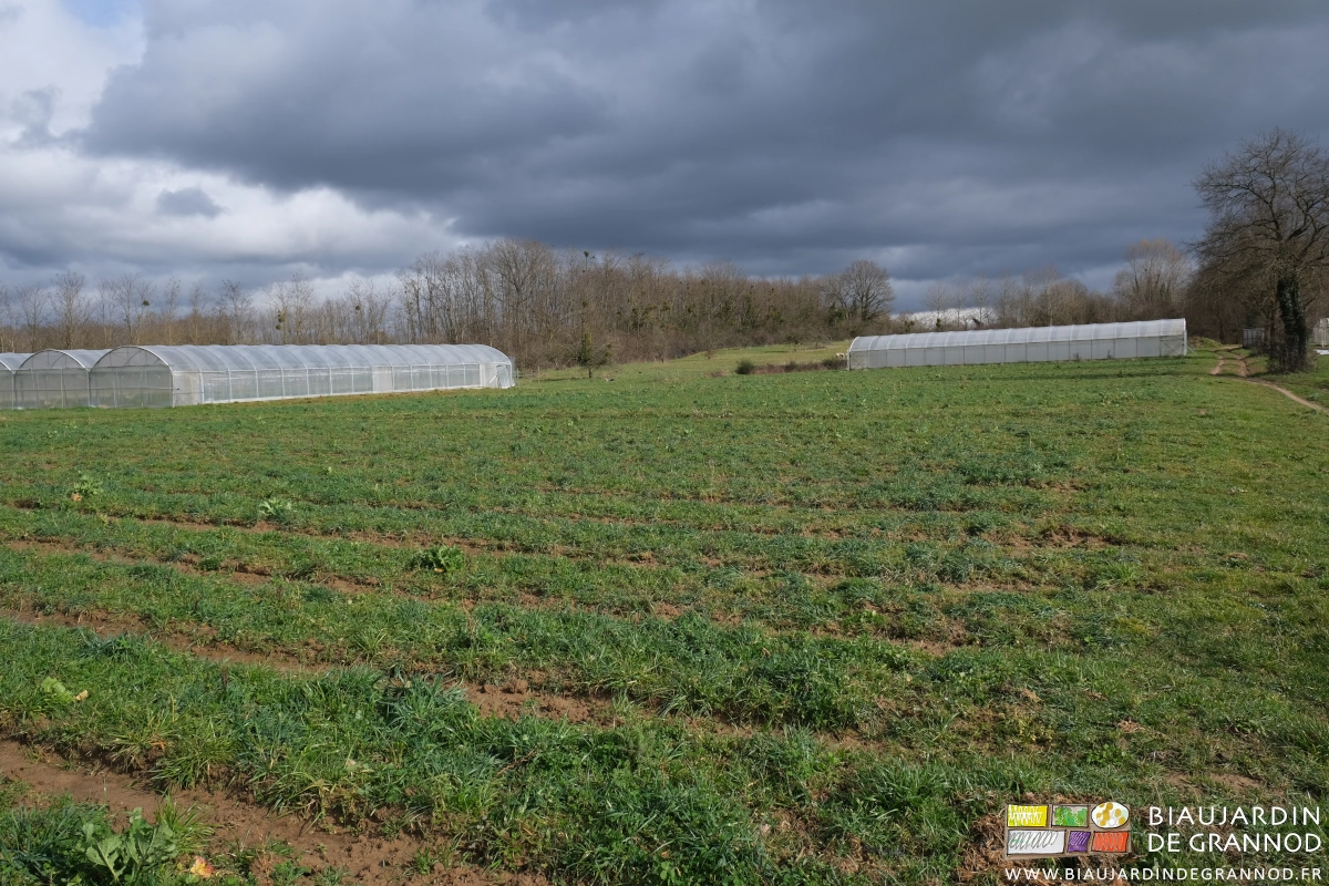 vue d'ensemble du jardin, ses tunnels et engrais verts sous nuages noirs menaçants
