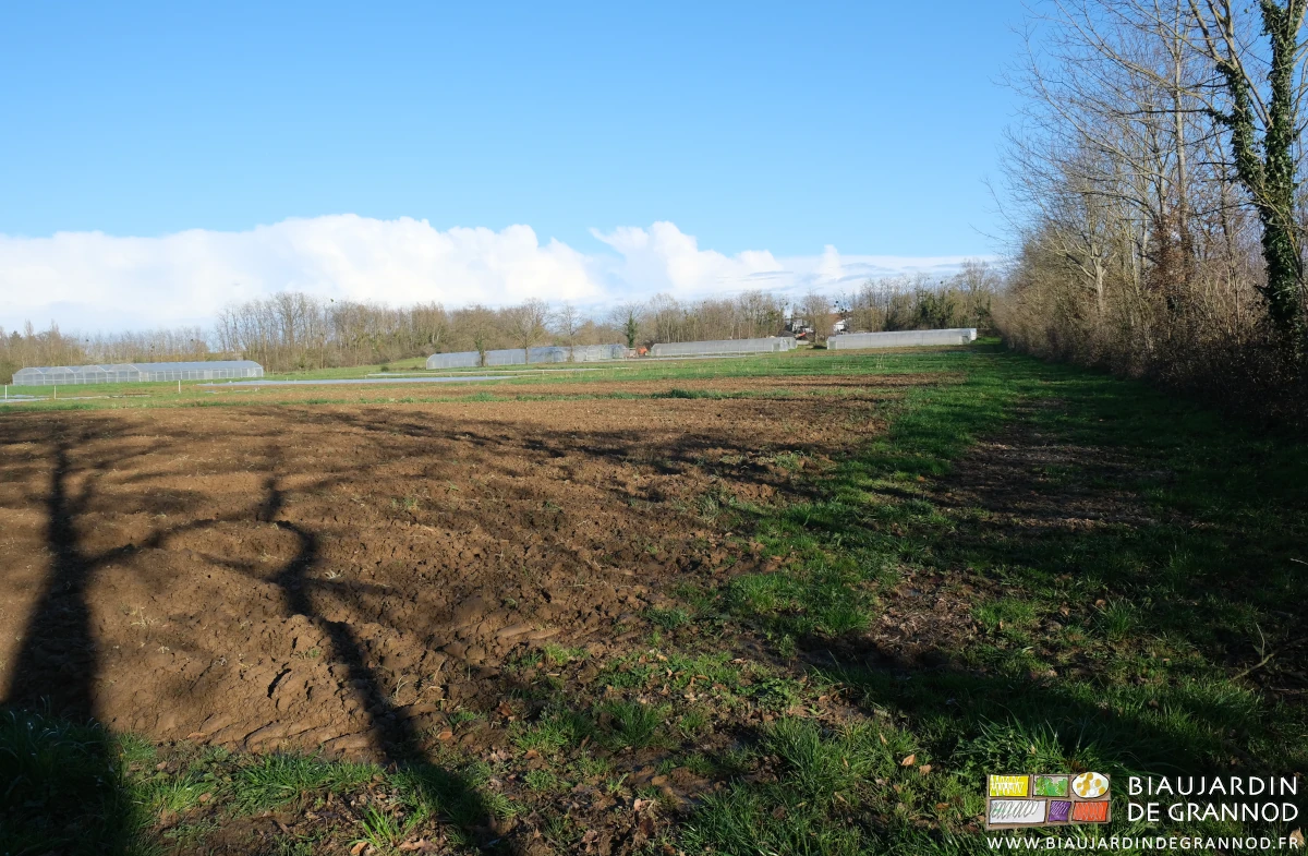 photo d'ensemble des planches du jardin sur fond de bocage et ciel bleu