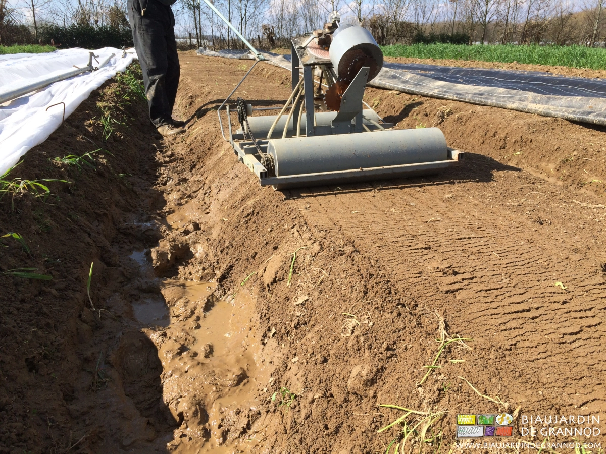 Photo d’allée remplie d’eau et simultanément semis de radis sur planche permanente ressuyée