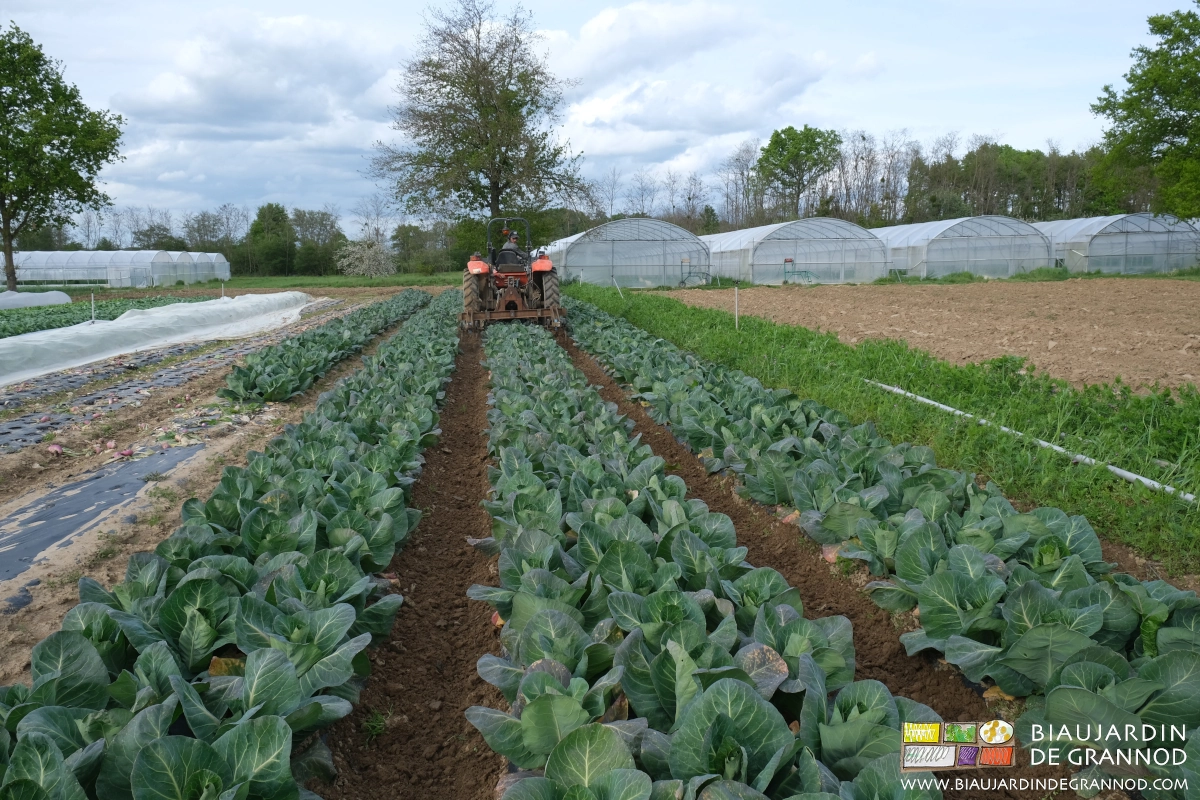 photo de l’autobinage des allées avec la barre porte outils auto-construite