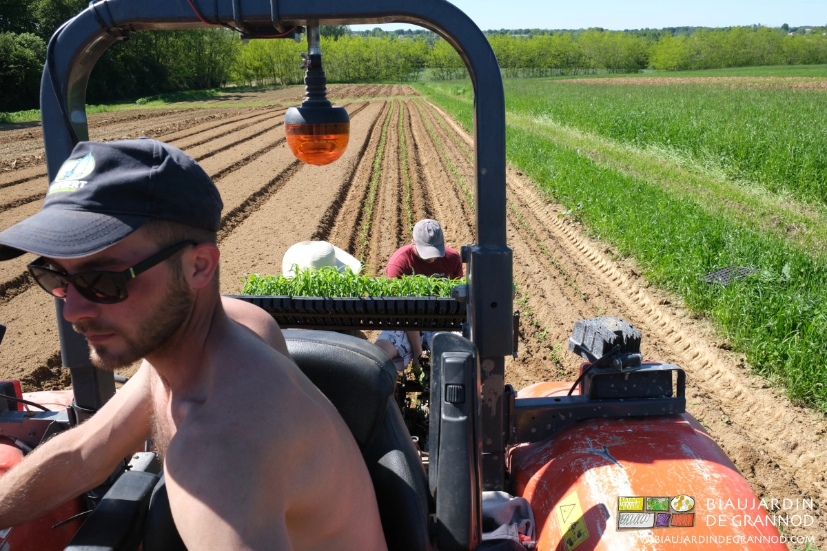 photo de Matthieu conduisant la planteuse et ses équipiers sans rouler sur les planches