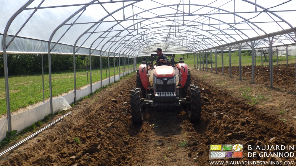 photo de tracteur passant la butteuse sur planche permanente sous tunnel