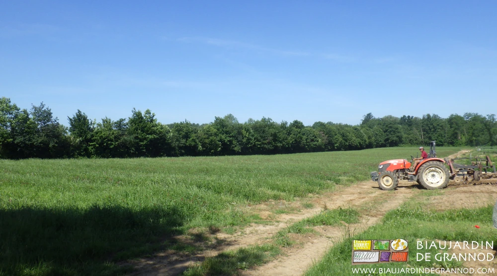 photo du travail d’un bloc au tracteur près d’un autre en luzerne devant une haie bocagère