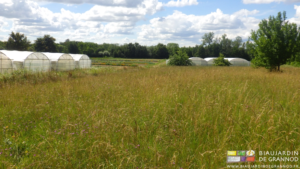 vue du jardin dans son contexte de prairie diversifiée, bocage et bois