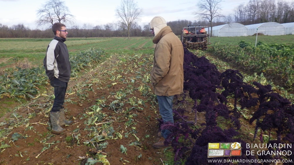 photo de Matthieu et Gérard satisfaits du travail du roloflex pour cet usage
