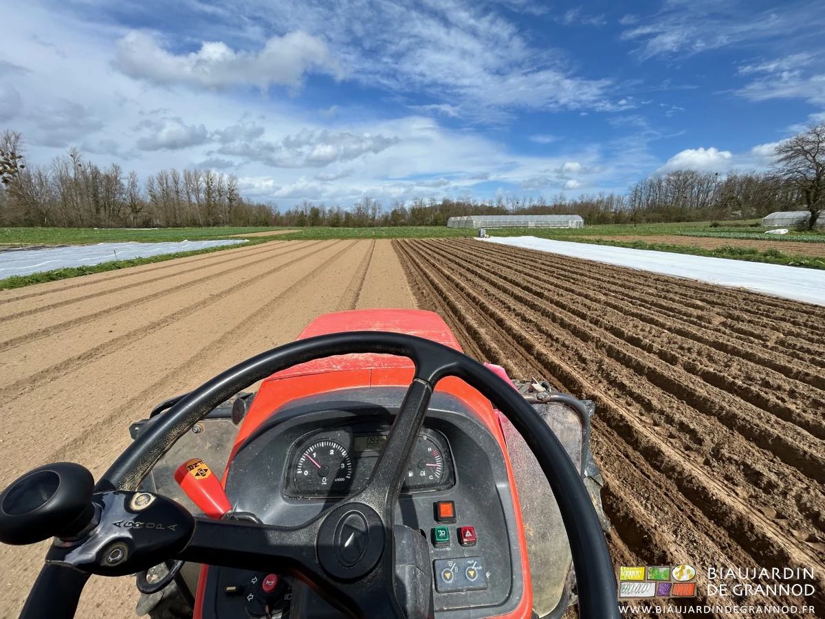 photo depuis le tracteur du carré de pomme de terre en cours de plantation