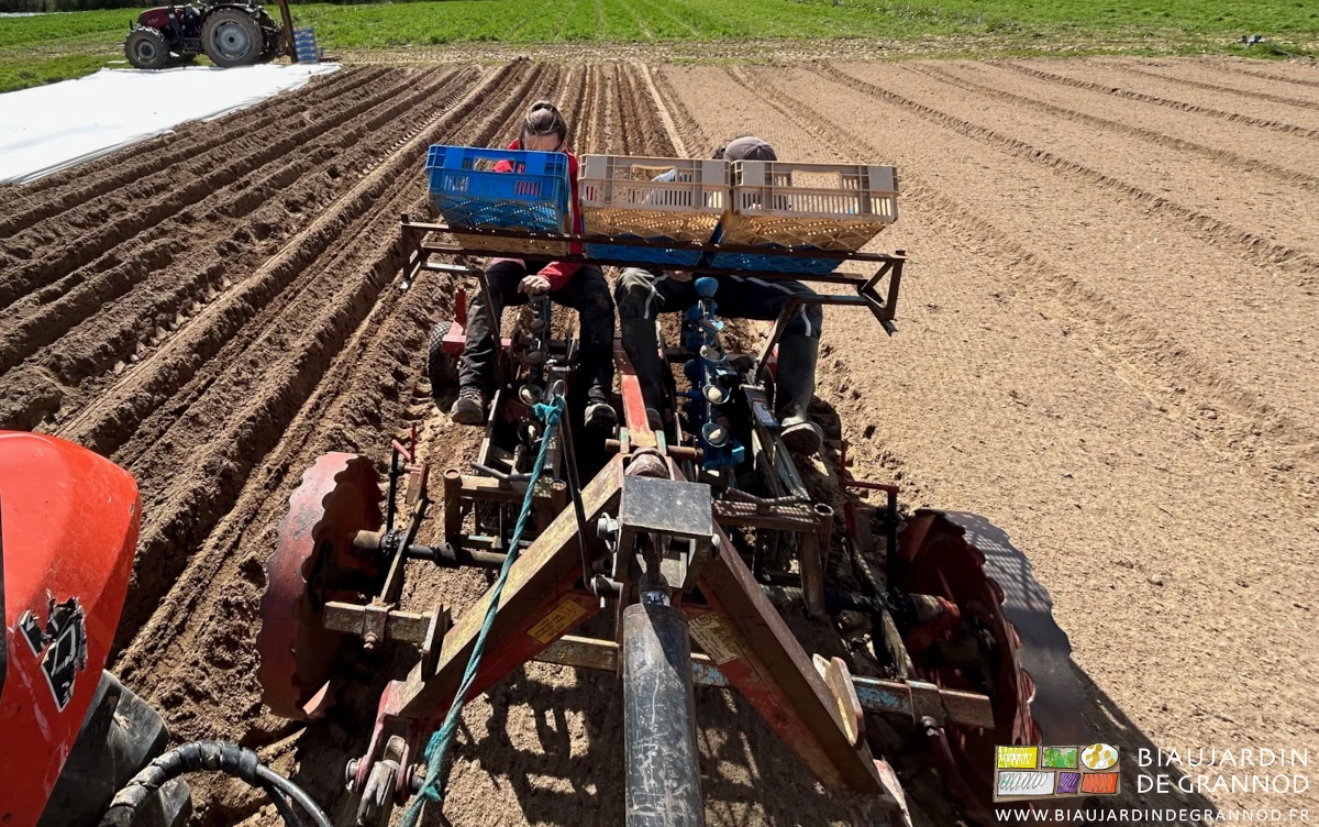 photo des 2 personnes assises à la plantation des pommes de terre