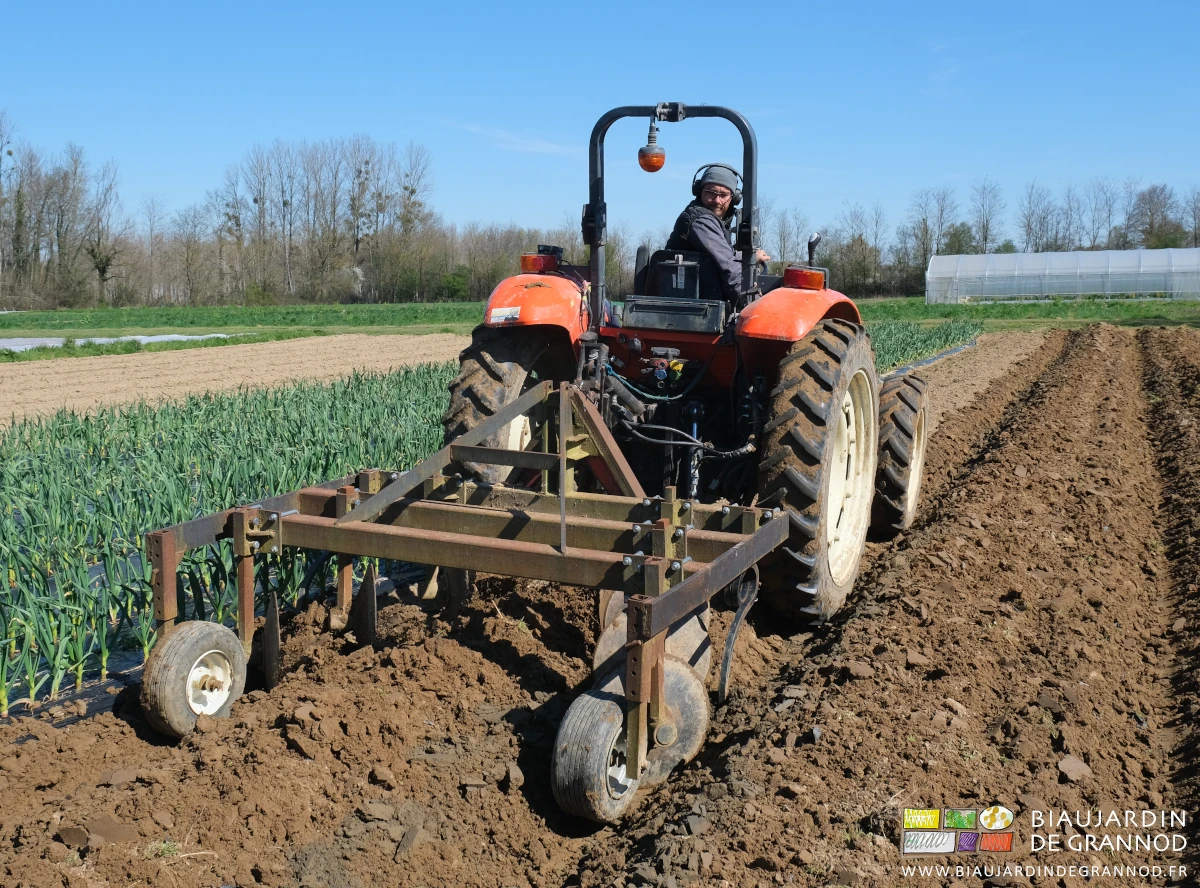 photo de Matthieu buttant des planches du carré de liliacées