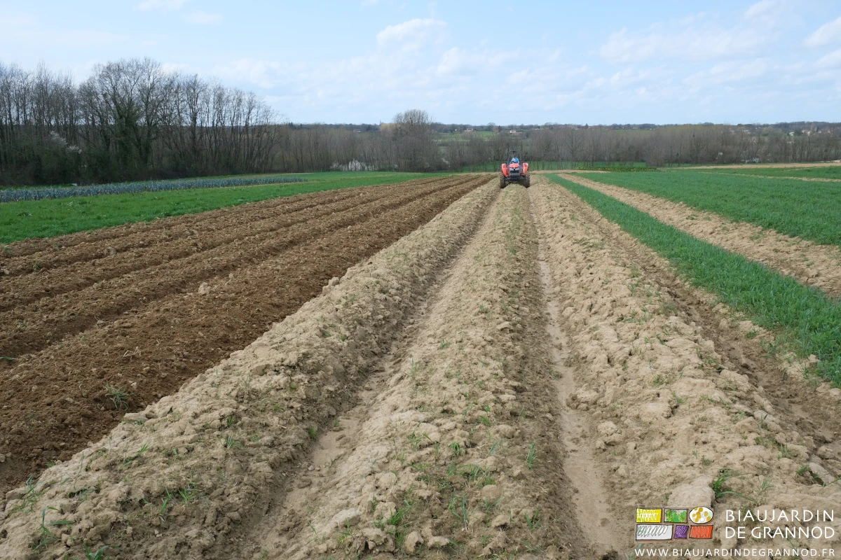 photo de buttes en début de ré-enherbement après le passage de pluies