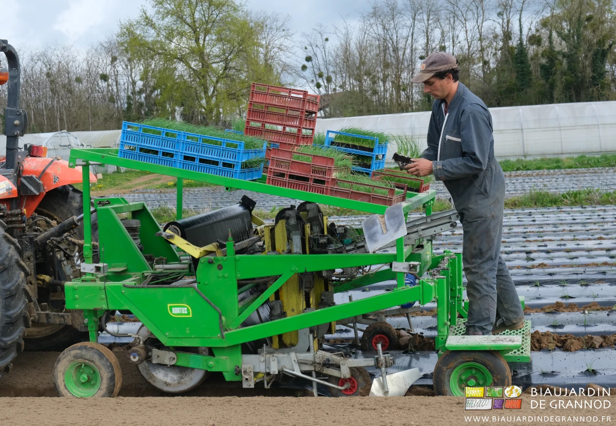 photo de la prise des mottes