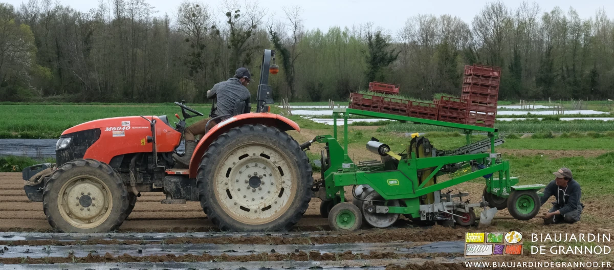 photo de Vivien maintenant en place de loin le film avec une pelle pour démarrer