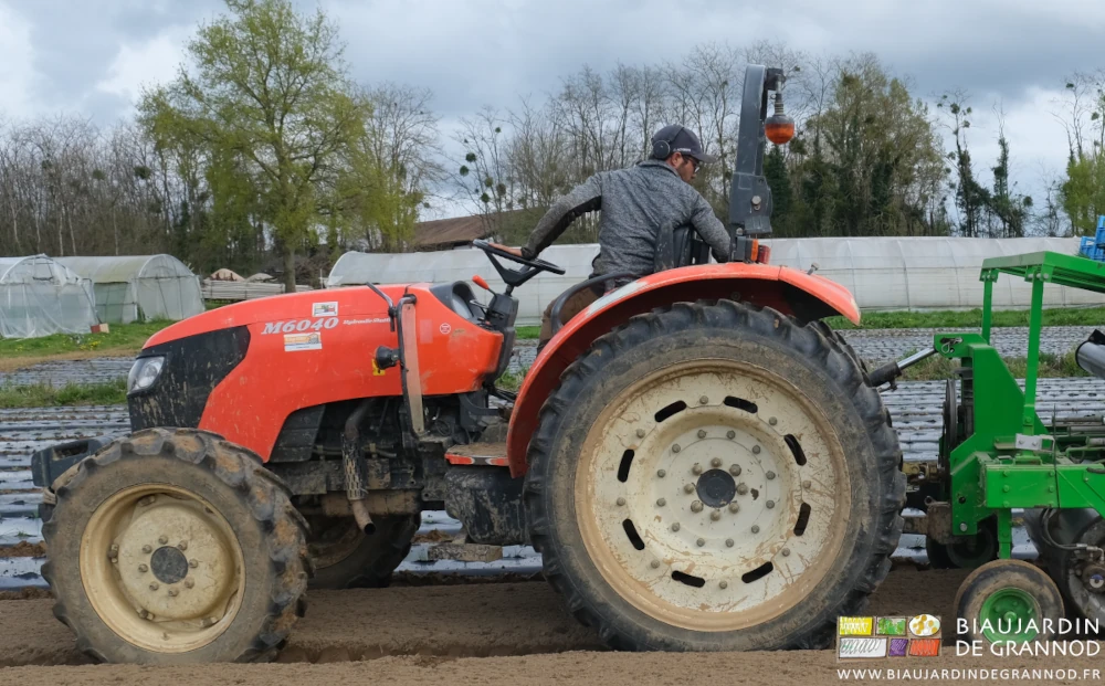 photo de Matthieu au volant du tracteur et devant regarder très souvent complètement derrière