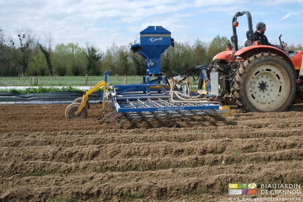 photo de passage d'étrille avec ses nombreuses dents très souples