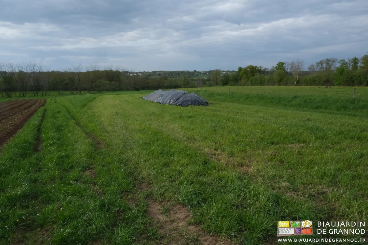 photo de la parcelle broyée et du tas allongé de fumier protégé par une bâche plastique lestée
