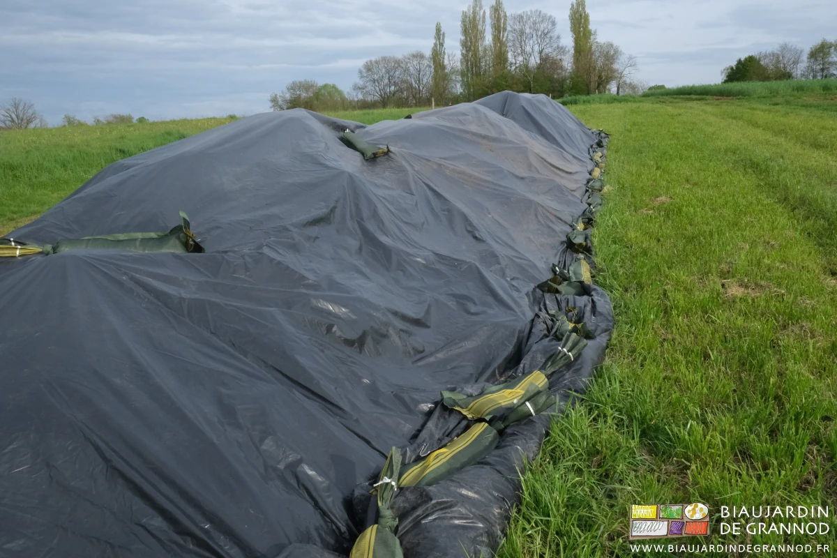 photo du tas couvert de sa bâche lestée par de nombreux silosacs