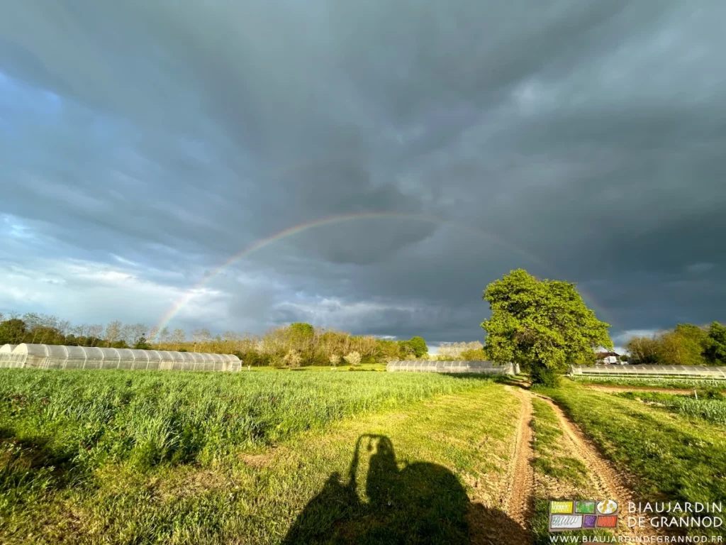 photo d'un magnifique arc en ciel complet au jardin avec l'ombre du tracteur