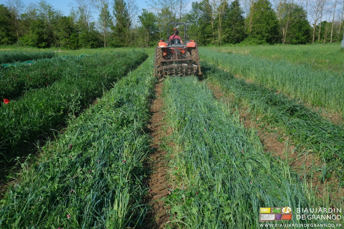 photo d'ensemble du carré en cours de roulage par le roloflex