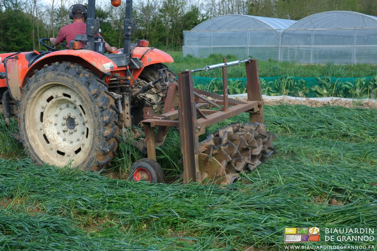 photo proche du roloflex dont les lames coupent la céréale et couche la fabacée
