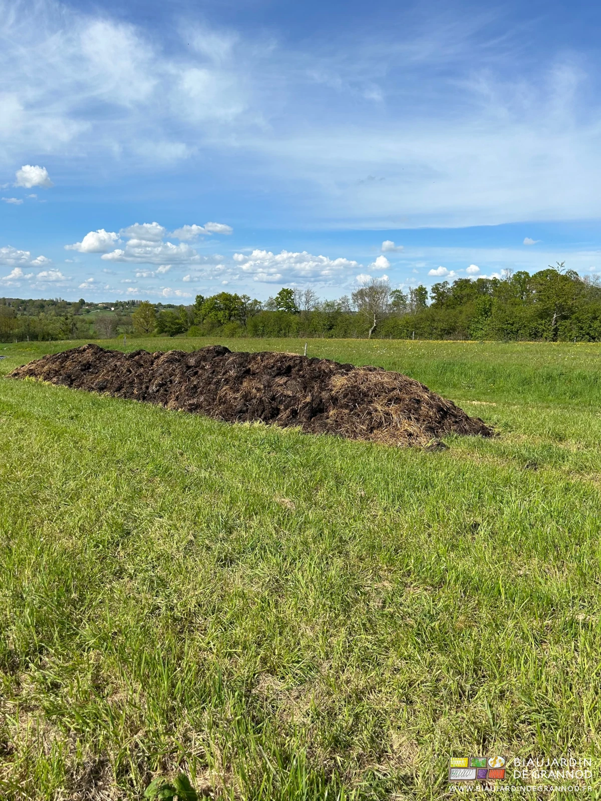 photo du tas allongé de fumier en bordure d'un pré