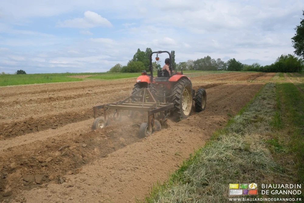 photo du montage de planches nues à la butteuse
