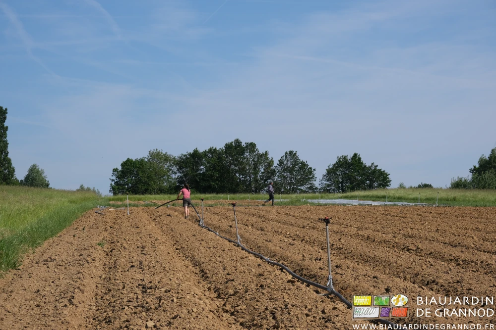 photo du déplacement et montage des rampes entre les planches de culture