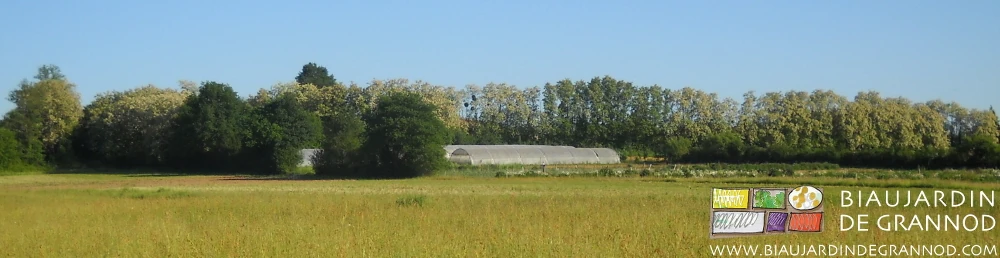 photo d'ensemble du jardin bien entouré de haies bocagères diversifiées