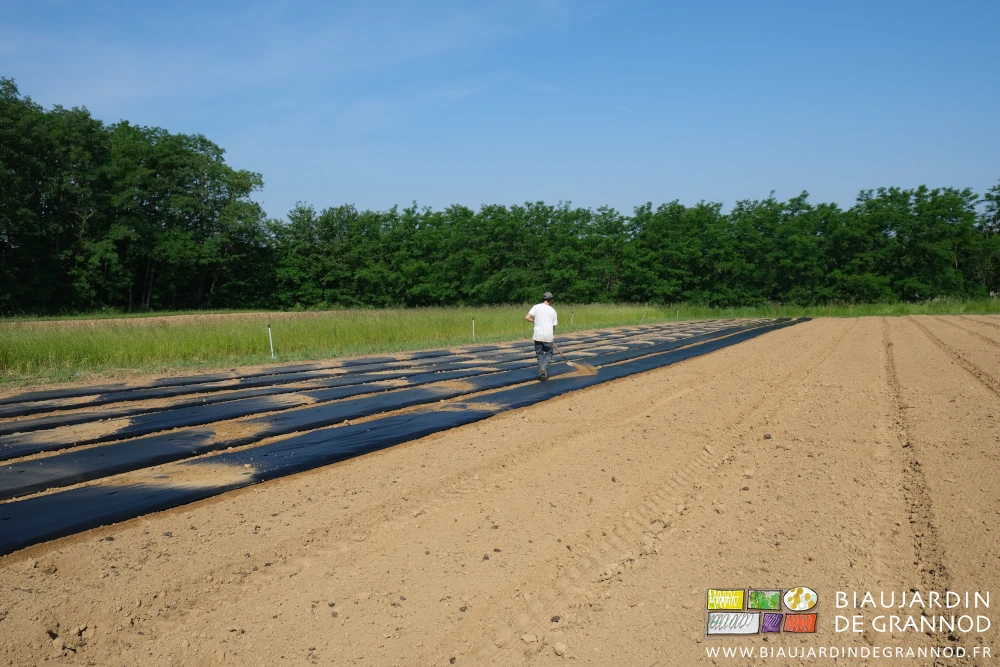 photo de Vivien marchant dans l'allée pour pelleter un peu de terre sur le film