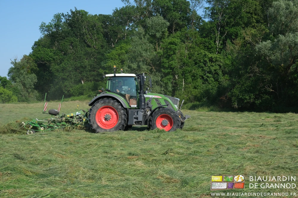 photo du gros tracteur Fendt que Romi utilise pour le fanage