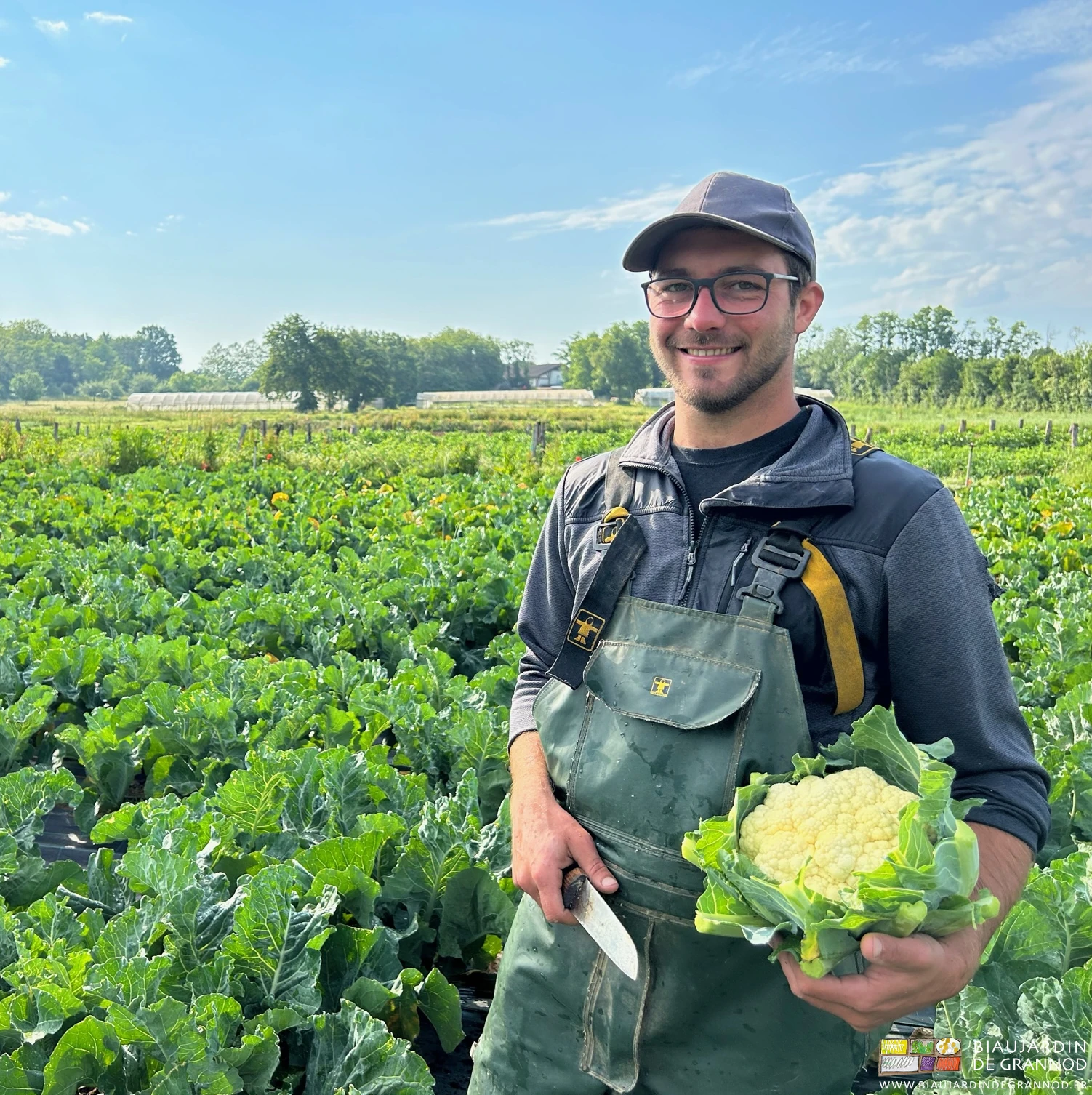 photo de Matthieu tout sourire posant chou-fleur à la main dans leur carré en cours de récolte