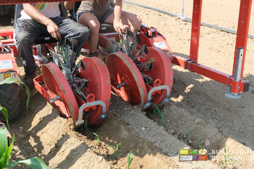 photo des mains qui positionnent chaque plant dans les pinces qui en tournant les mettent en terre à bonne distance