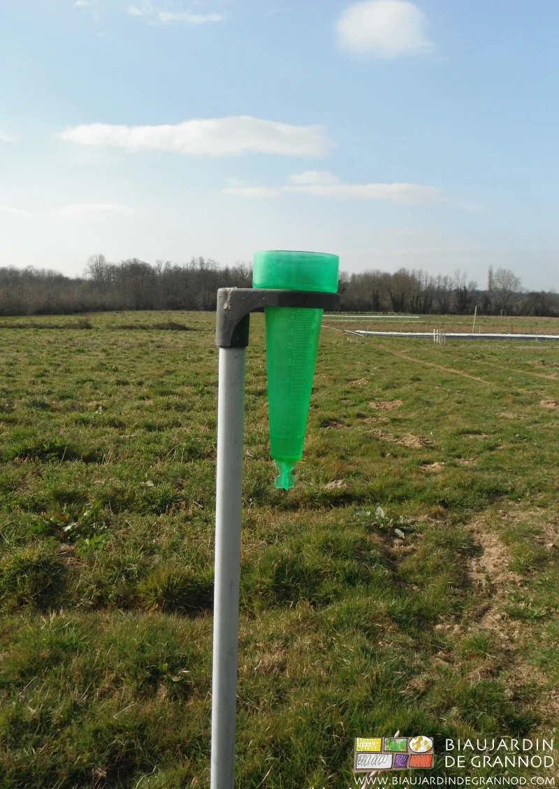 photo d'un pluviomètre bon marché posé sur une tige au milieu du jardin