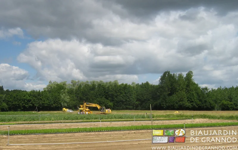 photo du matériel de drainage avec planches de légumes au premier plan