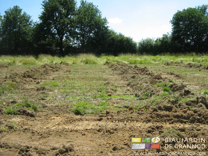 vue du sol relevé sur 1 mètre de large par le passage de la dent lors de la pose