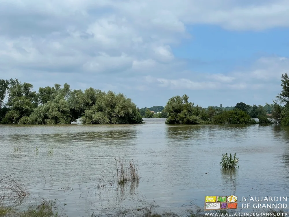 photo de nos prés dont seules les haies dépassent