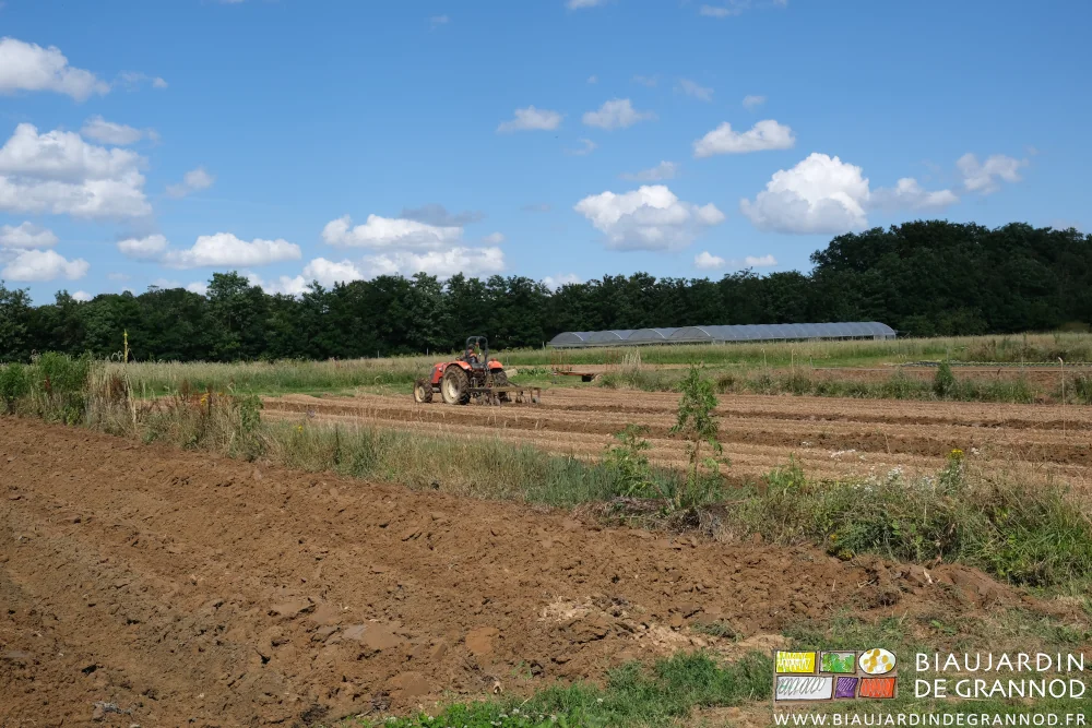 photo de 2 carrés partiellement buttés séparés par leur bande fleurie pluriannuelle